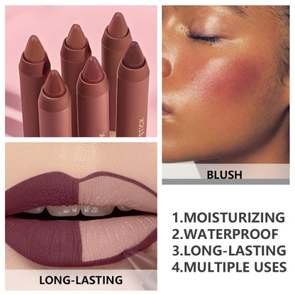 2 in 1 Lip Liner and Lipstick Combo Matte Lipstick Long Lasting Waterproof