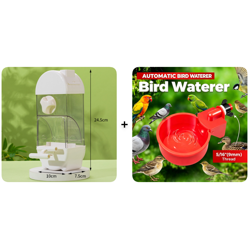 🐦Automatic Large Capacity Bird Feeder