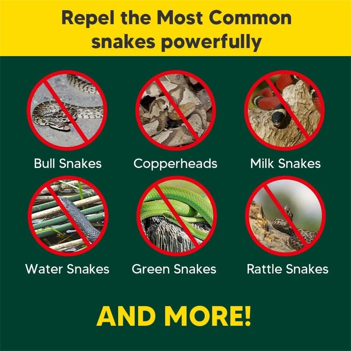 Snakes & Lizards Repellent Pouches